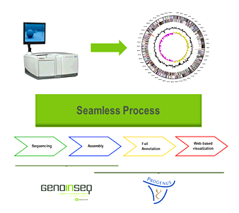Seamless Process